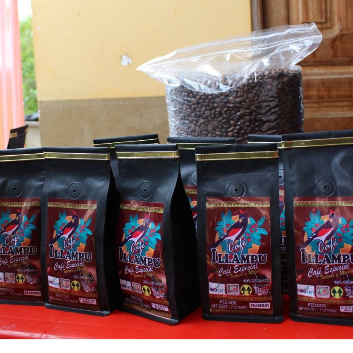 EN CARANAVI SE VIVIÓ UNA EXPERIENCIA QUE CONECTÓ LA PRODUCCIÓN CAFETALERA CON LA INDUSTRIA NACIONAL